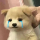 谁都别来。