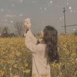把星星都给你