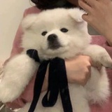 今天有开心吗