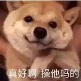 顾公子