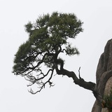 东阁智能