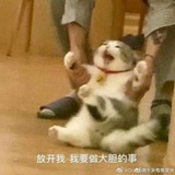 花花酱
