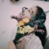 木萝卜没有萝