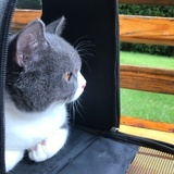 你猜