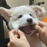 mmmooo