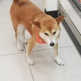 汉时关