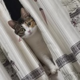 努力打工
