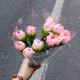 晚风啊