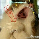 涂涂涂壁