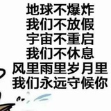 推箱子的猫