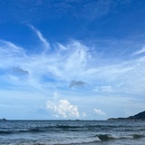 鱼丸