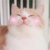 轻词