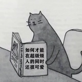 今天你帕了吗