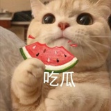 康康