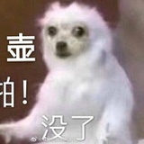 专业脂粉