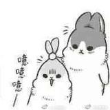 wu恩诺