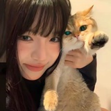 懒懒羊