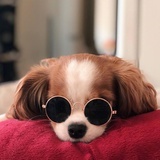 emmasleepy