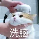 莲见