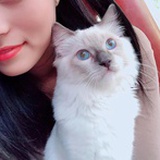 小小心肝