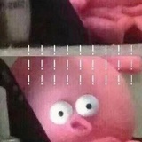 章鱼