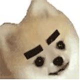 纸壳子