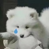 银银银银银桑