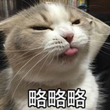耿浩
