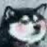 今天也要开心呀