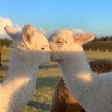 Bébé M