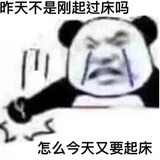 菠萝冰萃专家