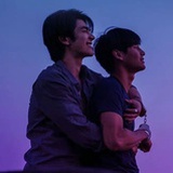mileapo是你爹