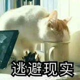 今天我背锅