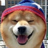 我是五岁的小新