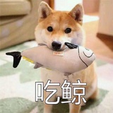 已注销