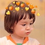 豆本豆逗逗
