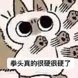 今年就是搞学习