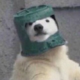 盒符