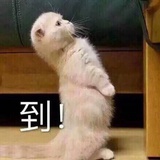 我们还没和好呢