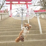 早起一杯温开水