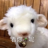 晦气王子