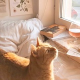 三水
