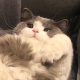 miumiuz
