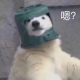 干嘛看我