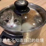 起名字好难