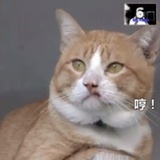 背着红书包上学