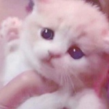 幸运的人