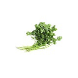 多加香菜