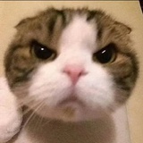 nono