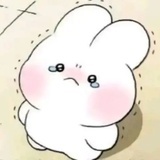 一只脆脆鲨